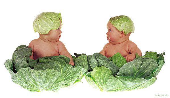 cabbage kids anne geddes
